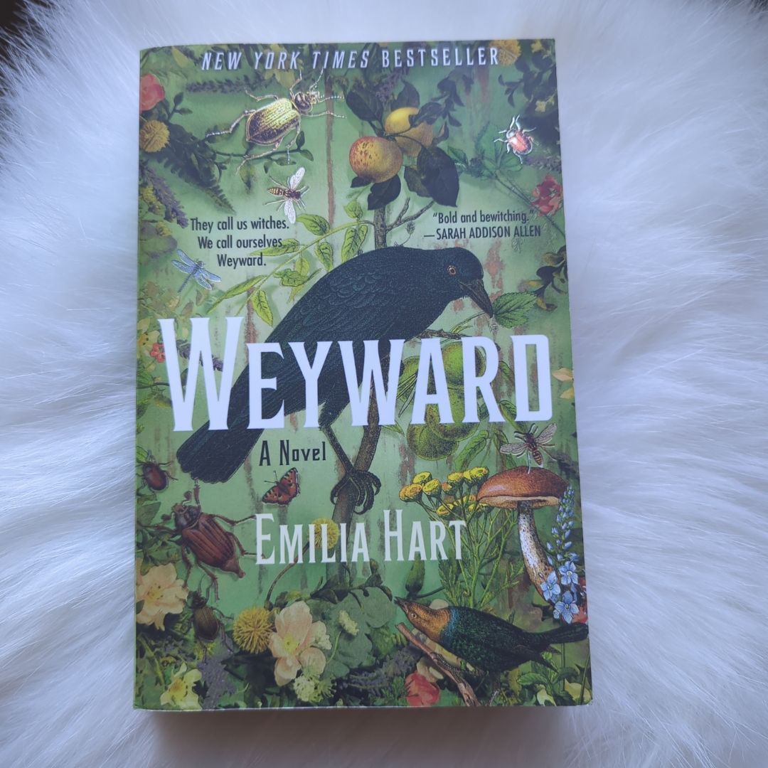 Sale image for 14c8914a-f191-48ba-8539-a525408731d4-o1tqpKCI7hanW4WHDWKRfxqniLv2