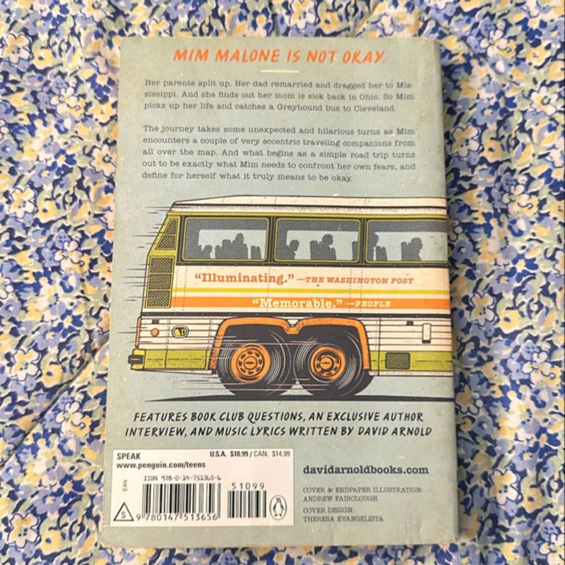 Mosquitoland