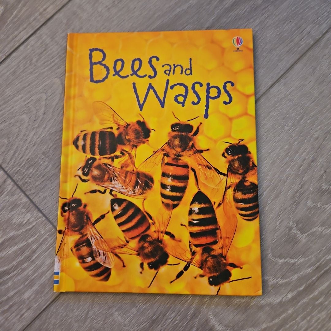 Bees and Wasps