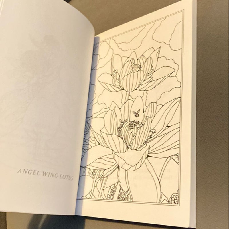 Animals and Flowers Minis - Pocket Sized Coloring Book