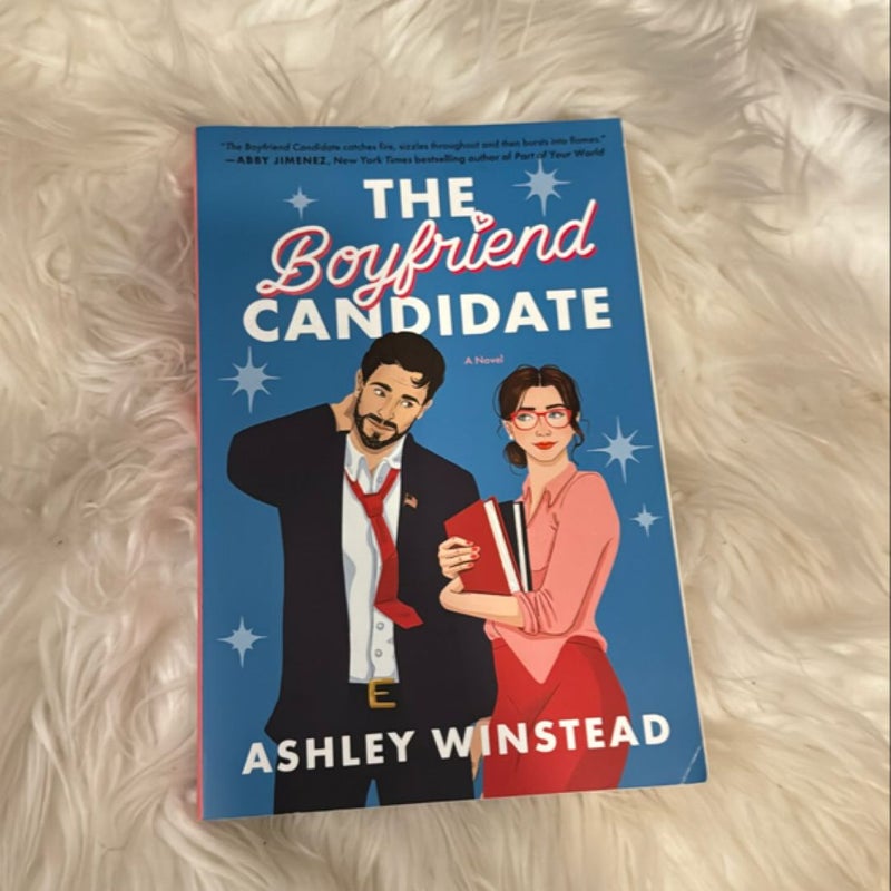 The Boyfriend Candidate