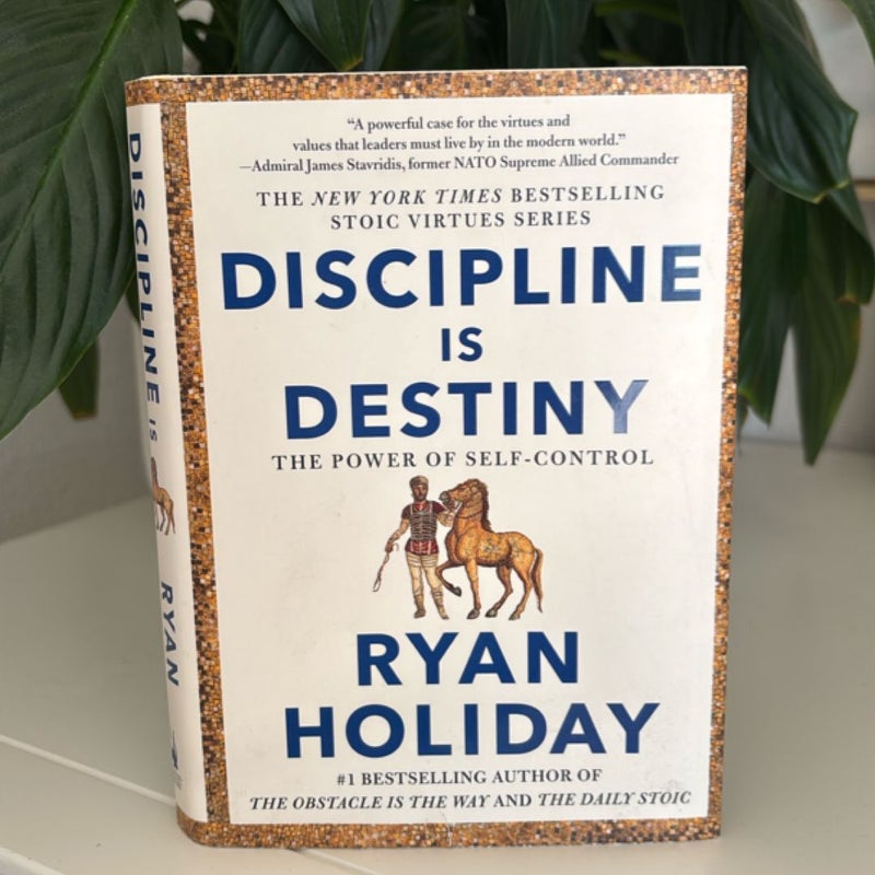 Discipline Is Destiny