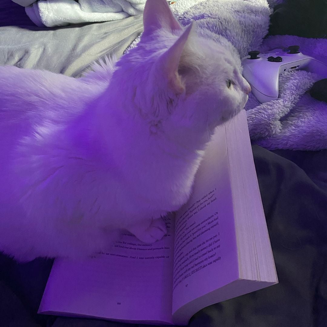 paperback nightmares