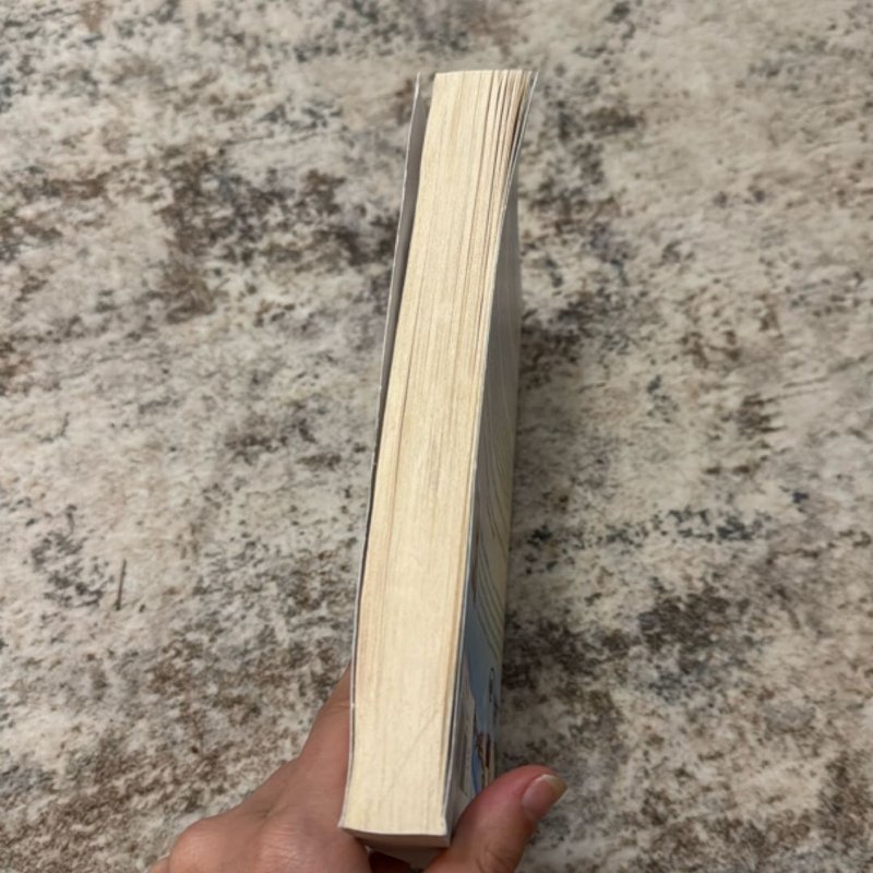 A Little Christmas Spirit