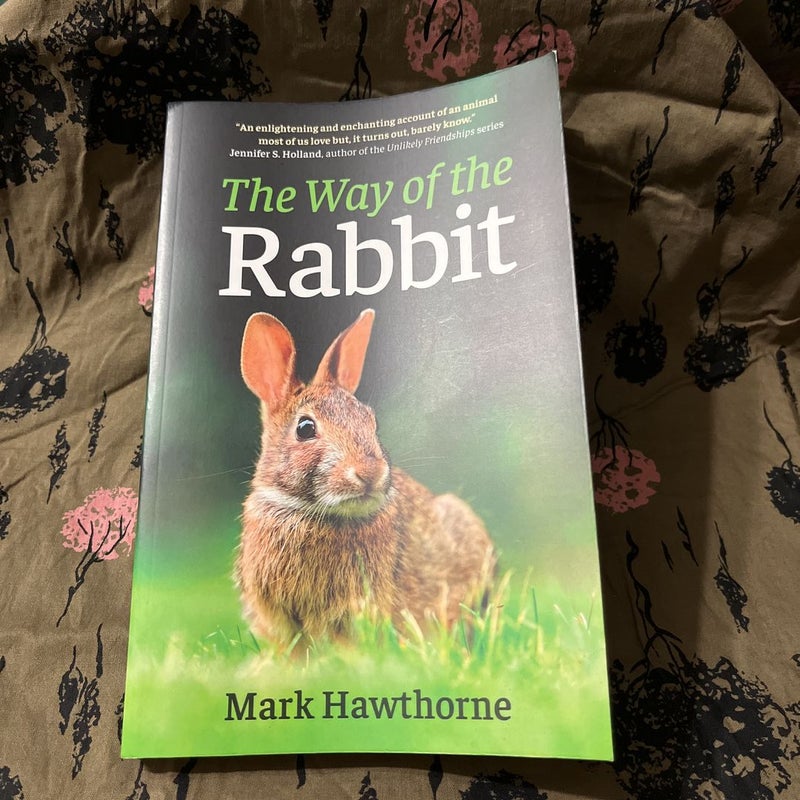 The Way of the Rabbit