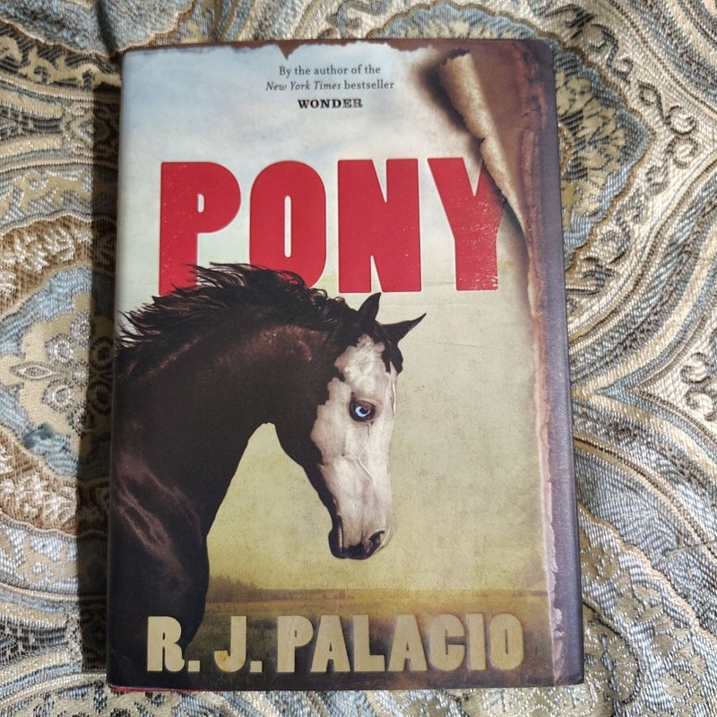 Pony