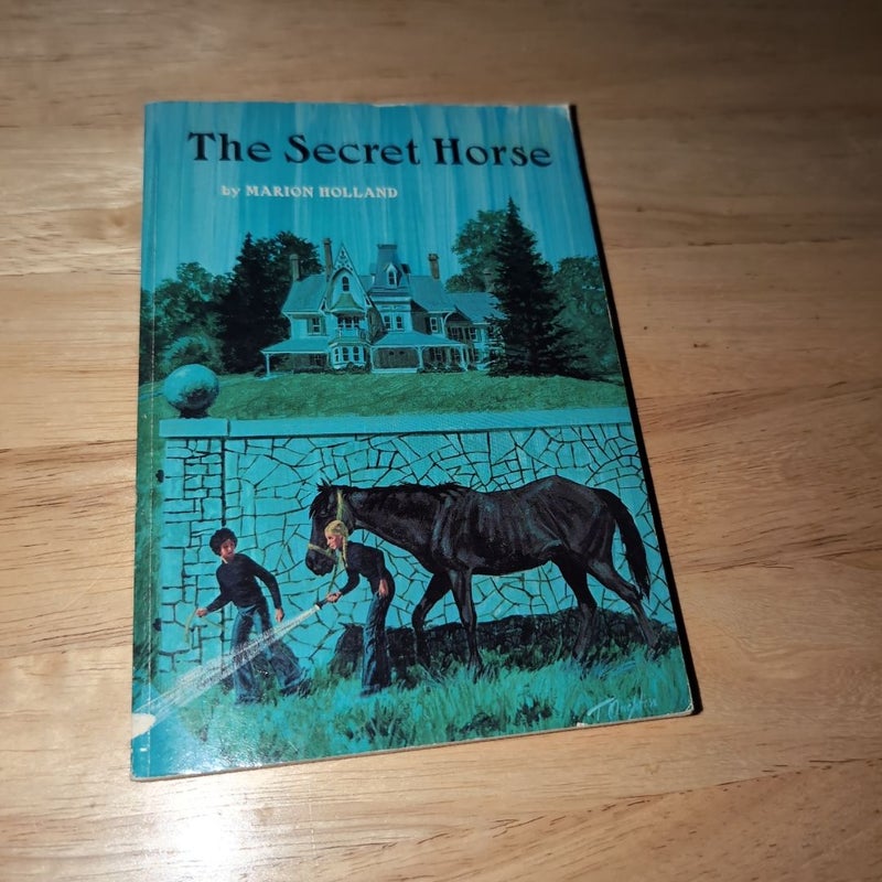 Secret Horse