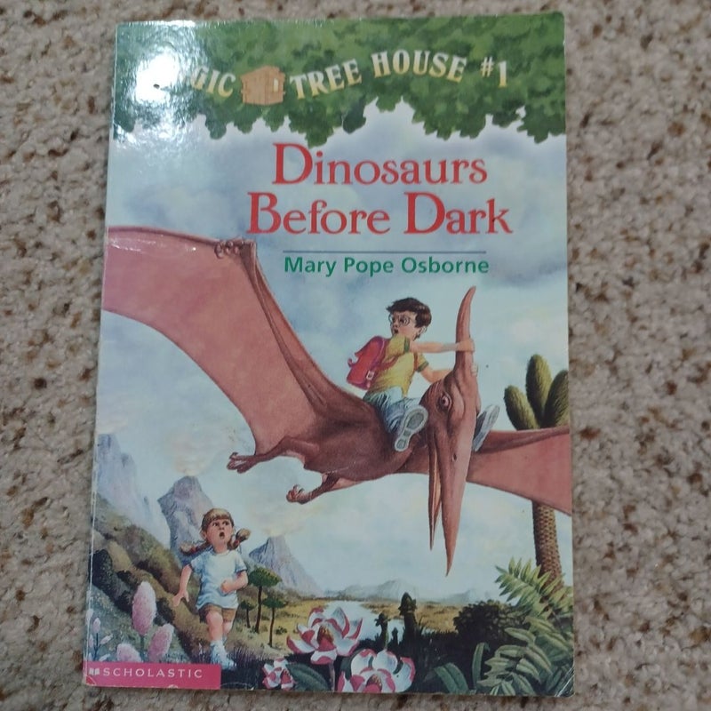 Magic Tree House Bundle