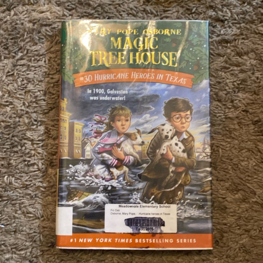 Hurricane Heroes in Texas