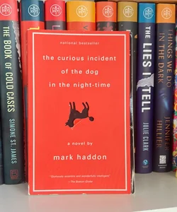 The Curious Incident of the Dog in the Night-Time