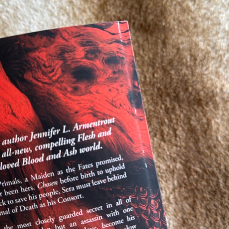 A Shadow in the Ember *Apollycon Paperback Exclusive Edition*