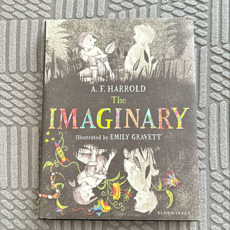 The Imaginary