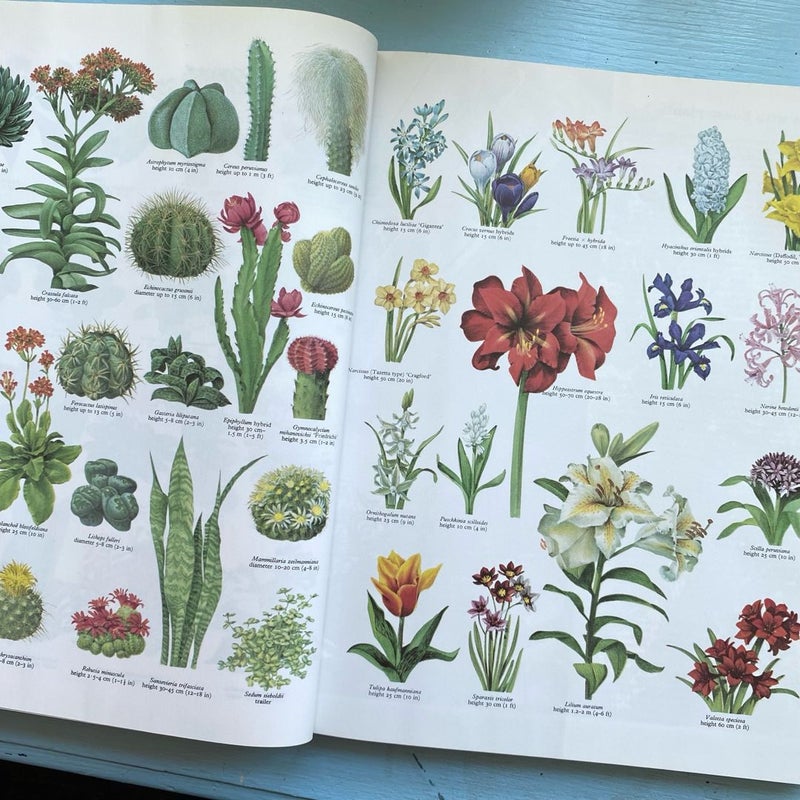 80s Vintage Book: The Houseplant Book by Cynthia Wickham 