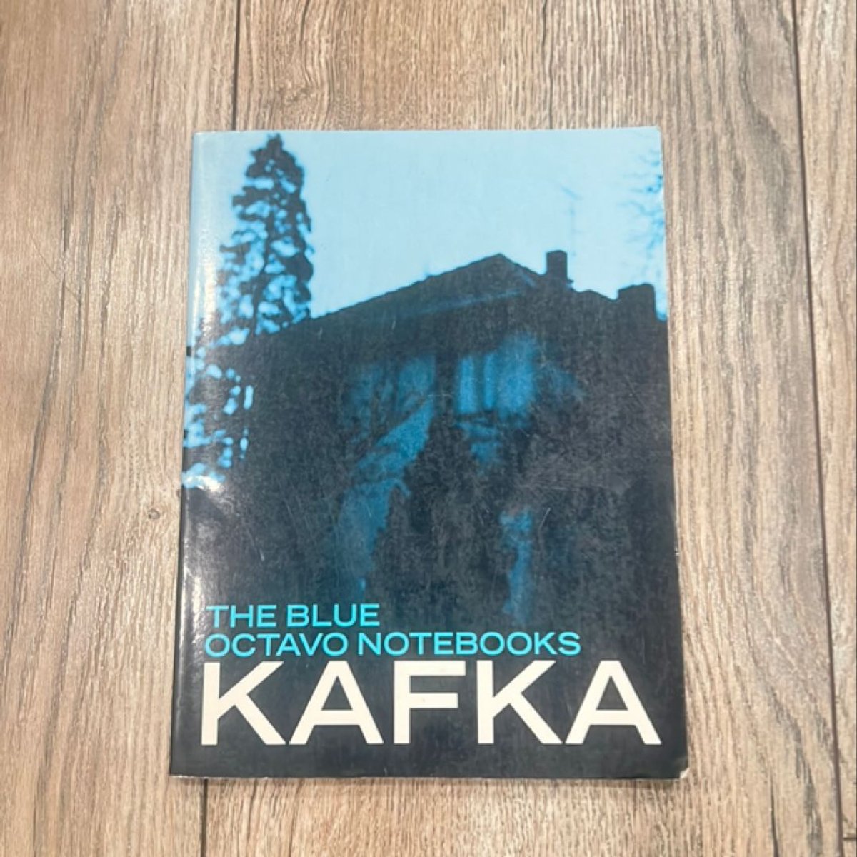Blue Octavo Notebooks by Franz Kafka