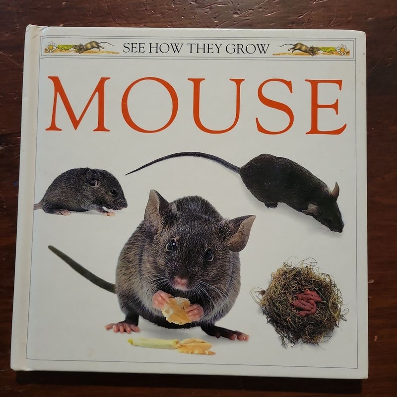 Mouse