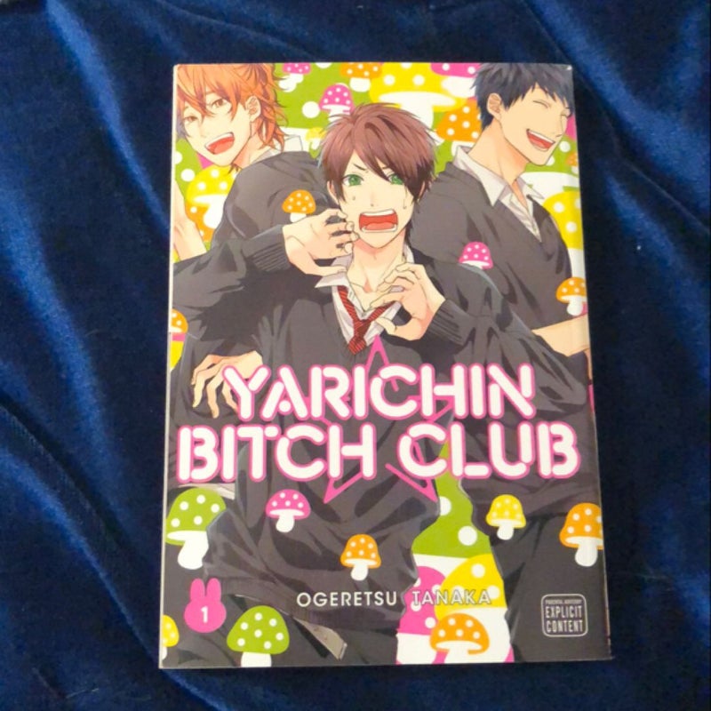 Yarichin Bitch Club, Vol. 1