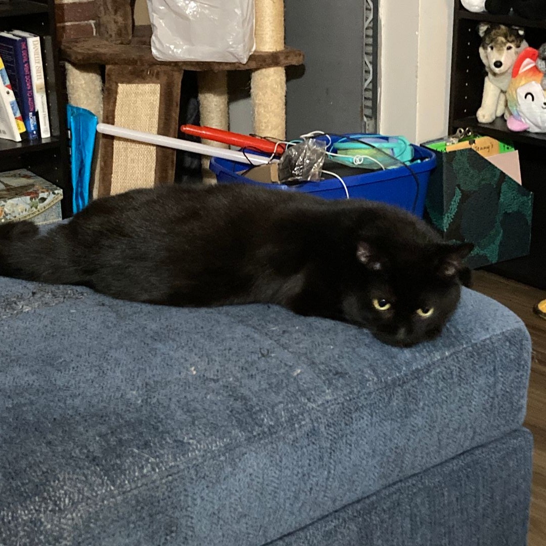Sam