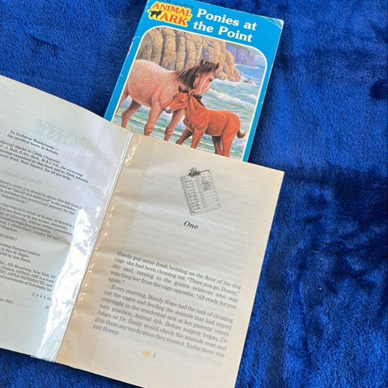 BOOK BUNDLE: Ponies at the Point and Pony in a Package
