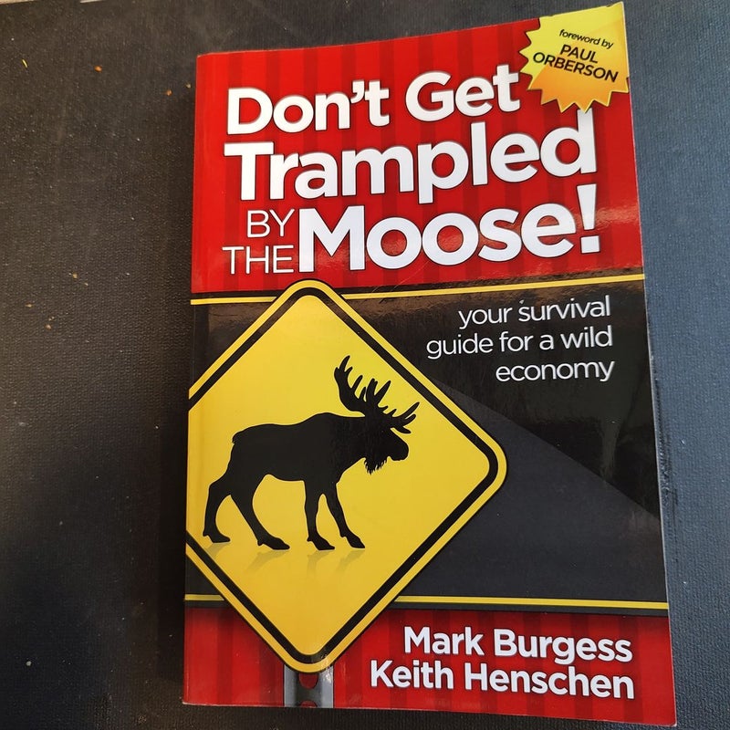 Don't Get Trampled By the Moose!