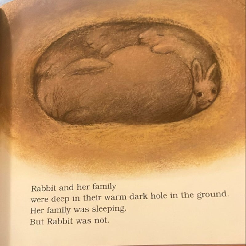 Rabbit's Good News