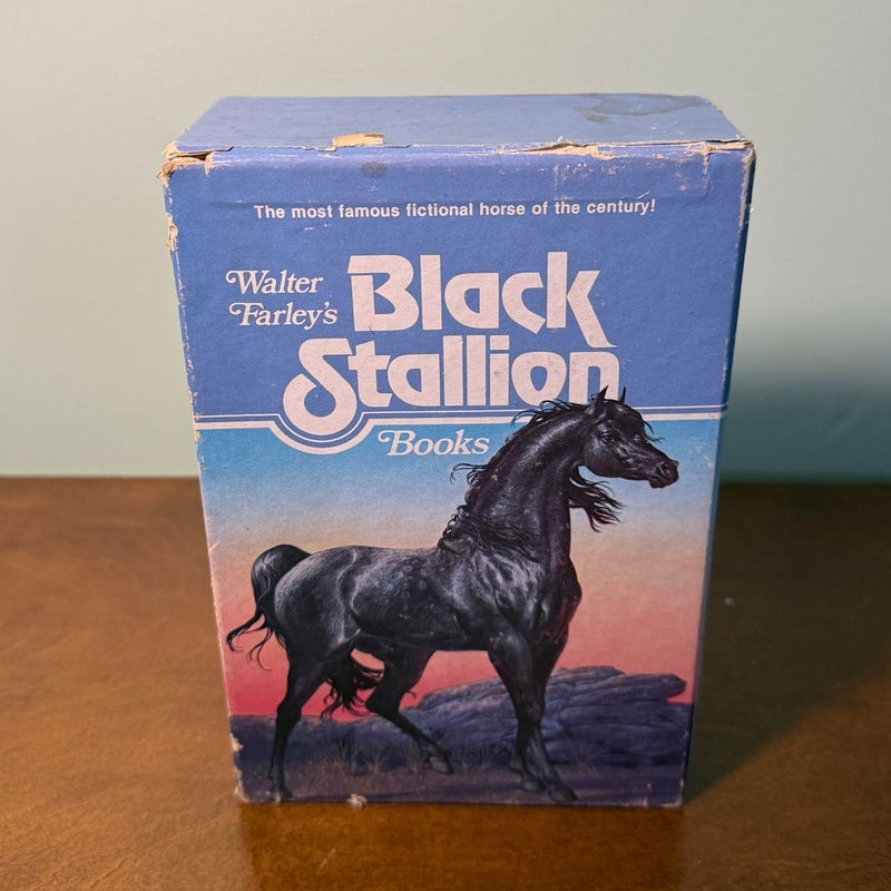 Black Stallion Books