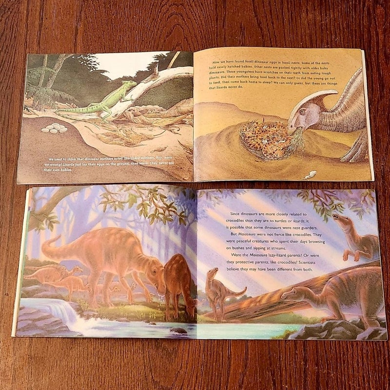 Non-fiction Dinosaur Booklot (5)