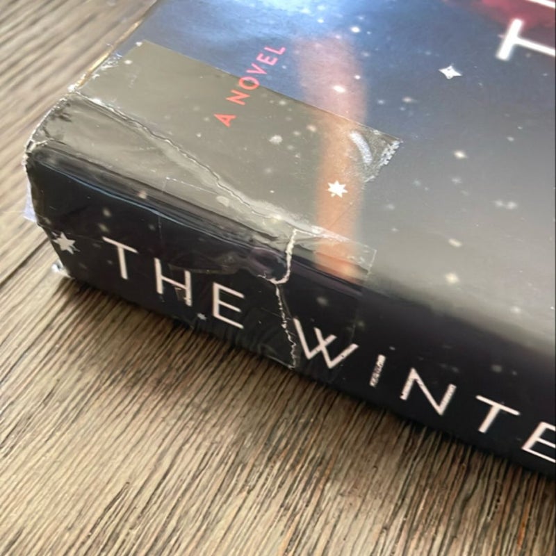 The Winter Sister