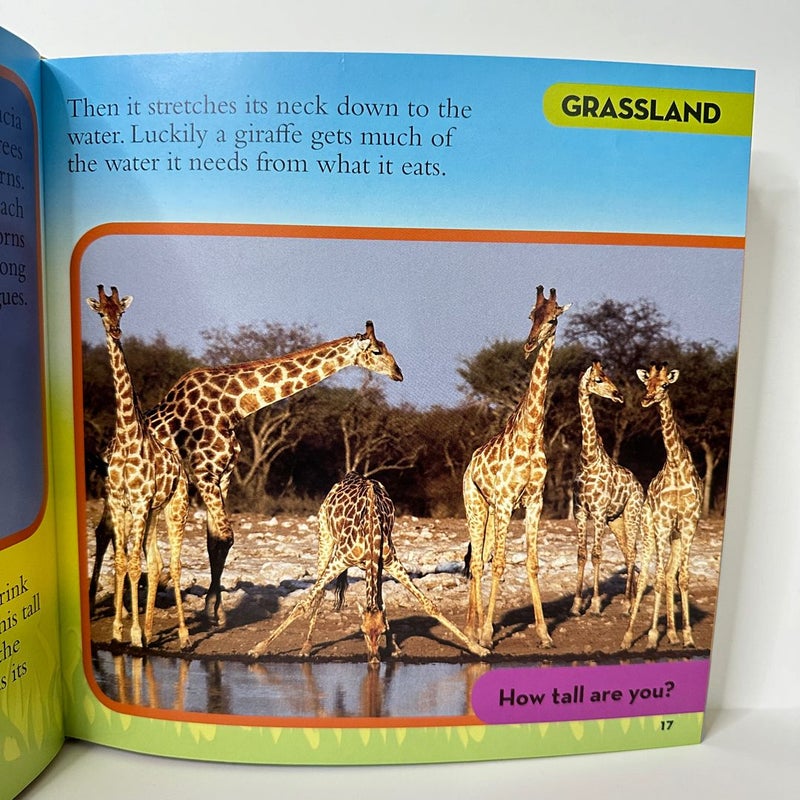 National Geographic Kids, Little Kids First Big Book of Animals