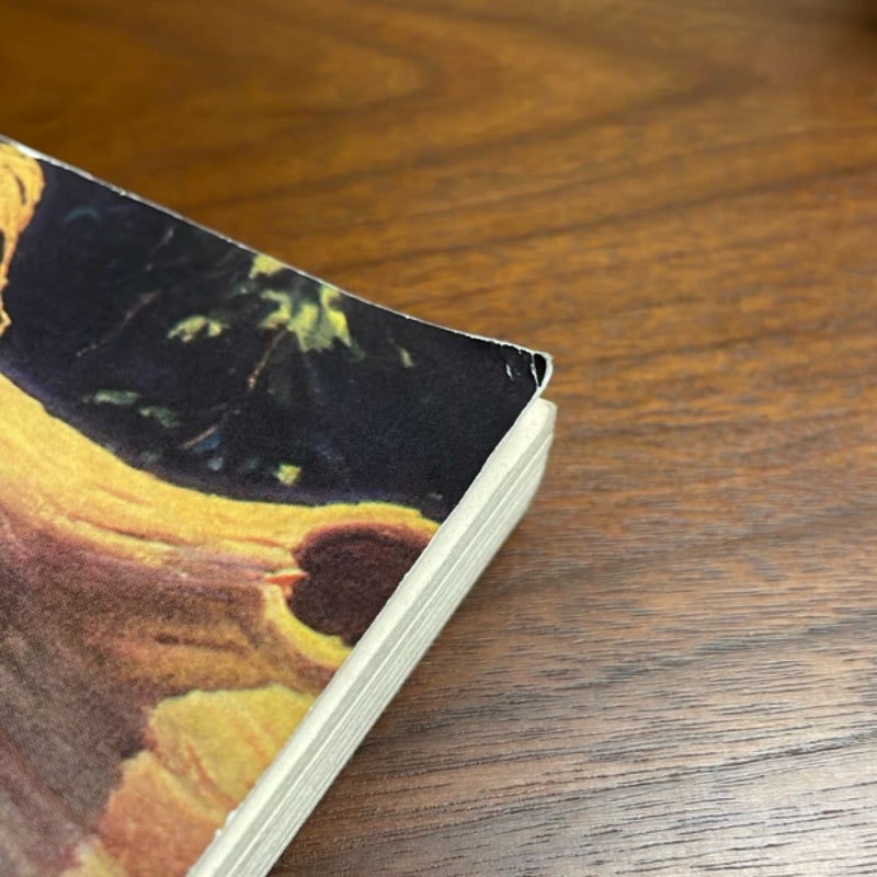 The Adventures of Huckleberry Finn