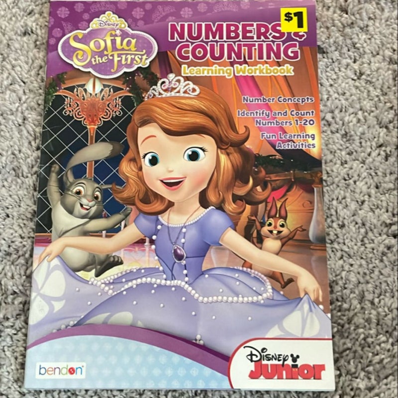 Numbers & Counting workbook