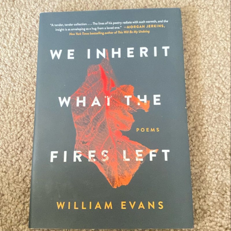 We Inherit What the Fires Left