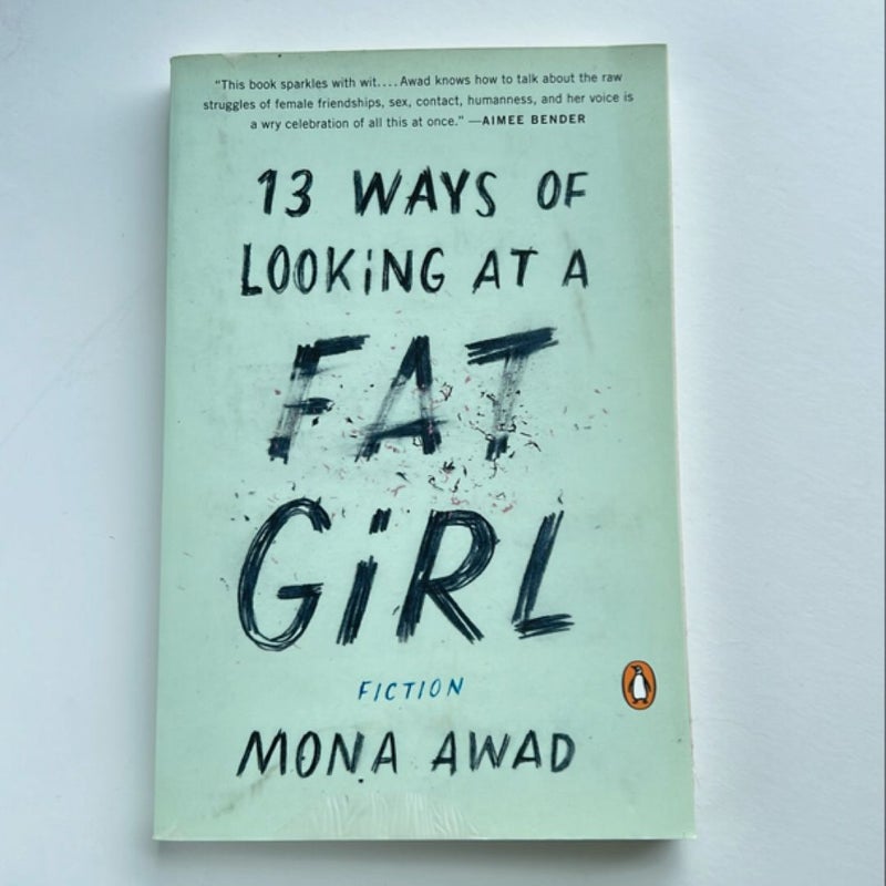 13 Ways of Looking at a Fat Girl