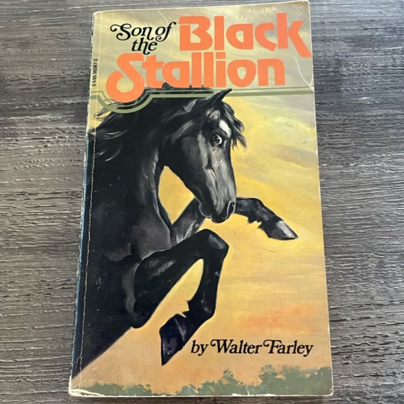 Son of the Black Stallion