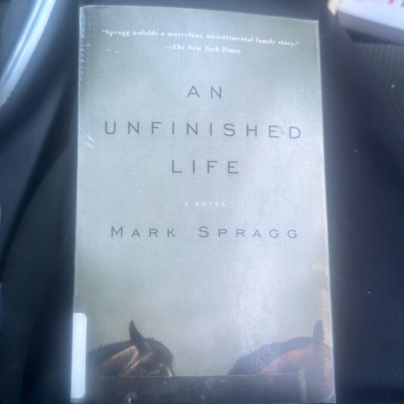An Unfinished Life