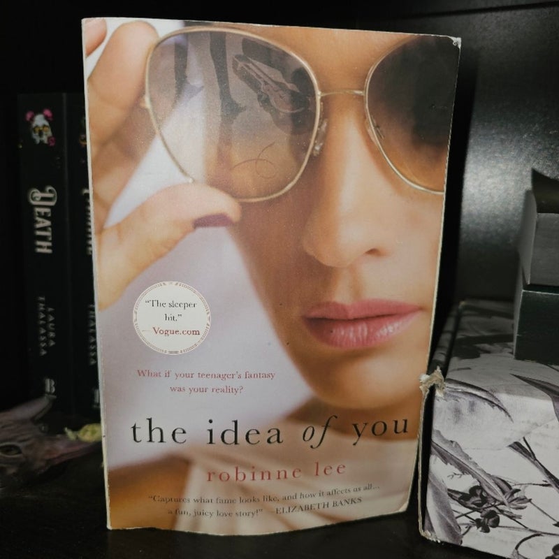 The Idea of You