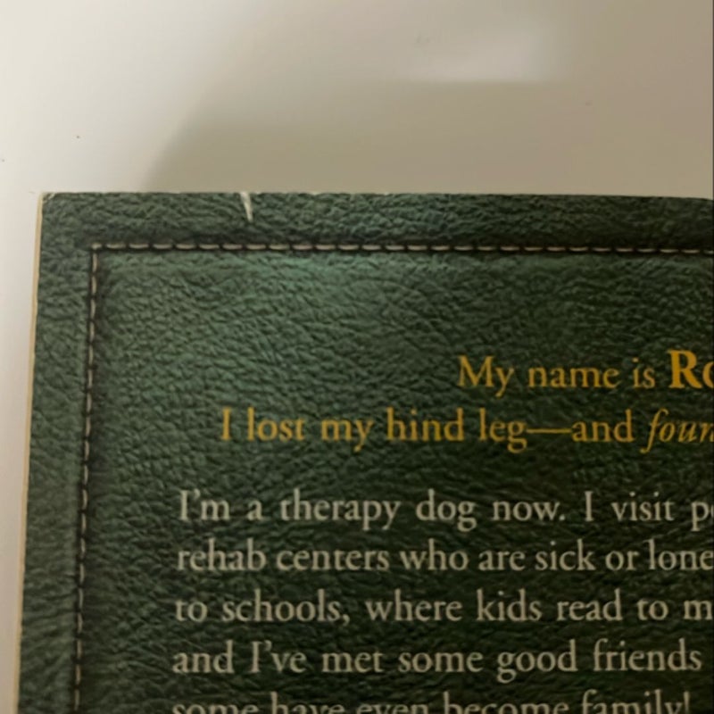Dog Diaries 