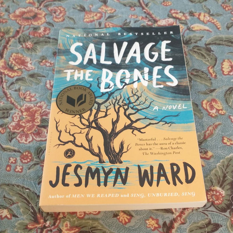 Salvage the Bones by Jesmyn Ward, Paperback Pangobooks