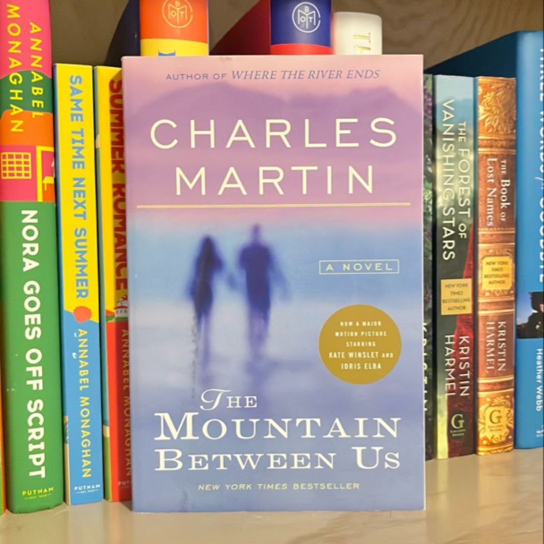 The Mountain Between Us