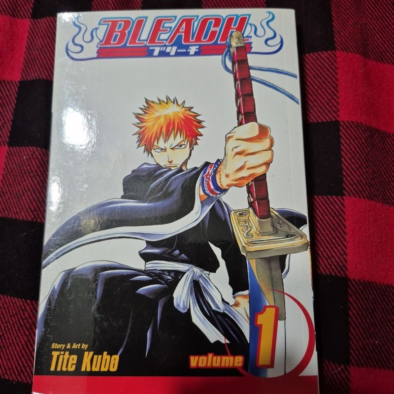 Bleach, Vol. 1