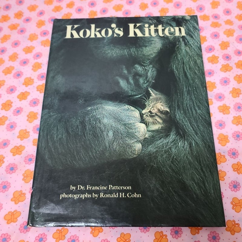 Koko's Kitten