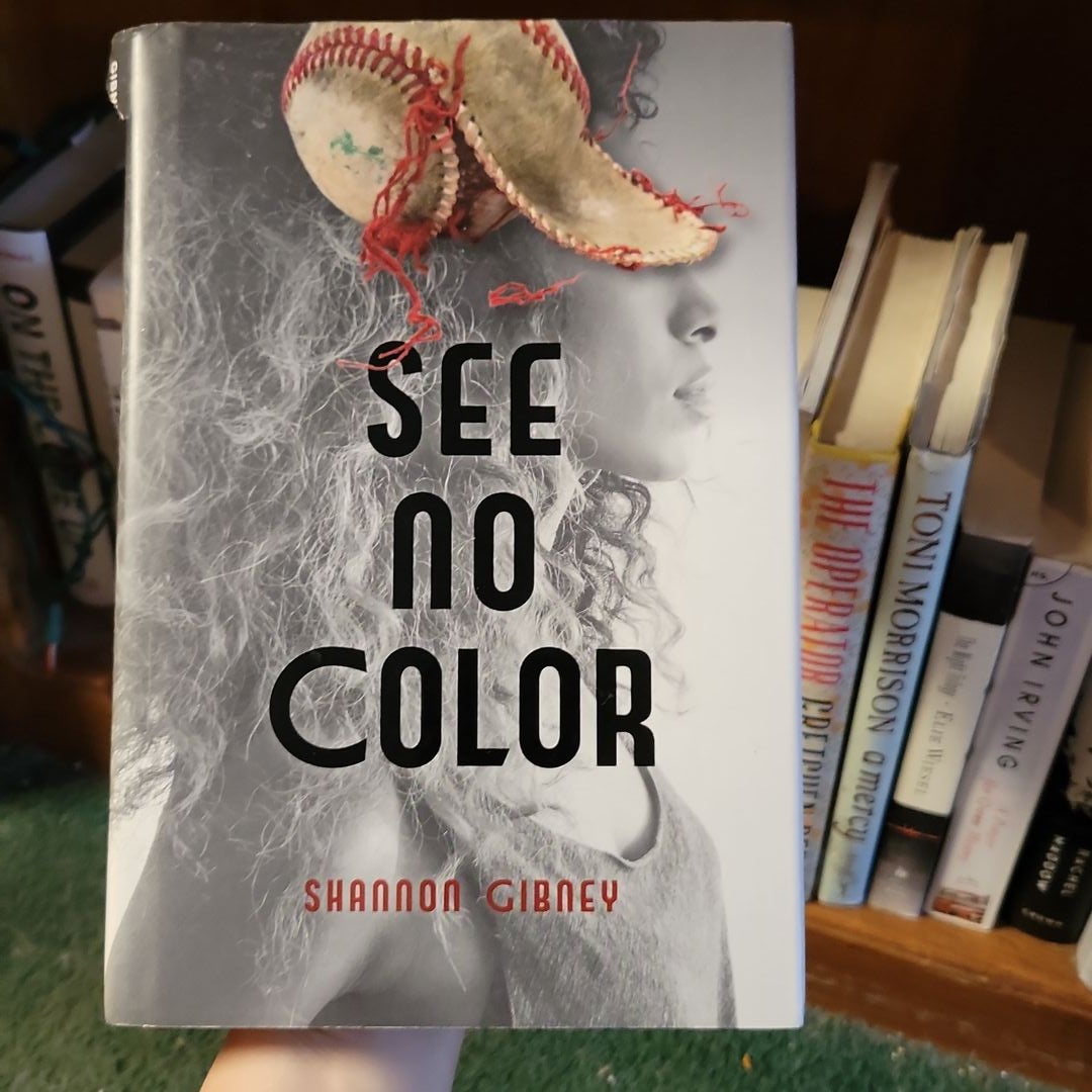 See No Color by Shannon Gibney, Paperback Pangobooks