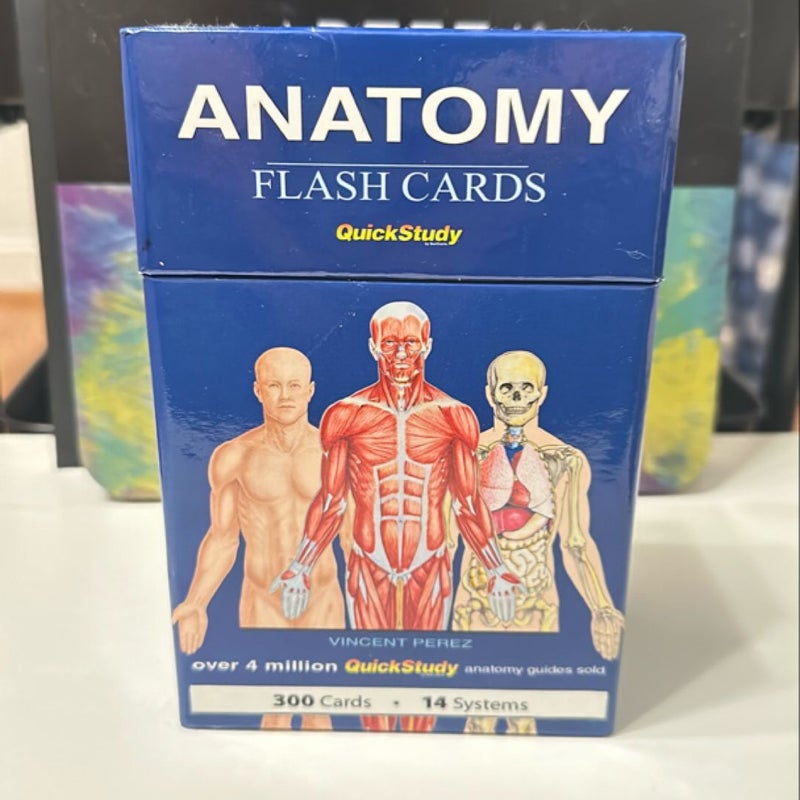 Anatomy Flash Card 