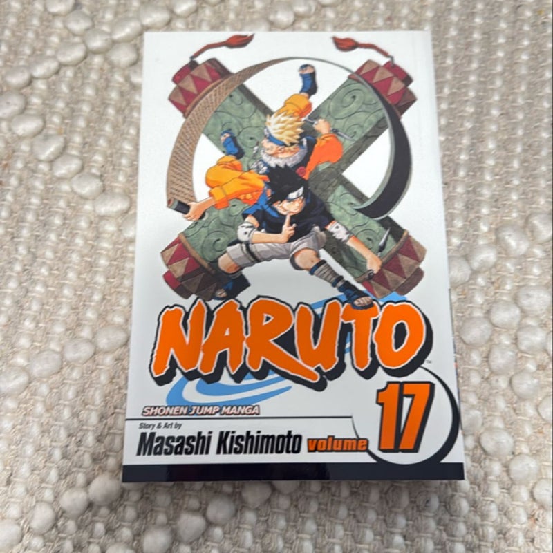 Naruto, Vol. 17