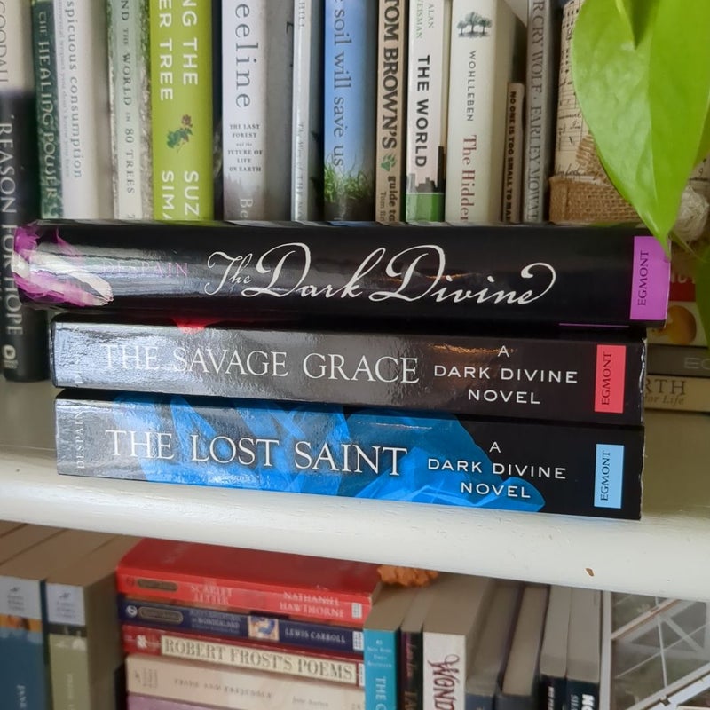 Dark Divine Series