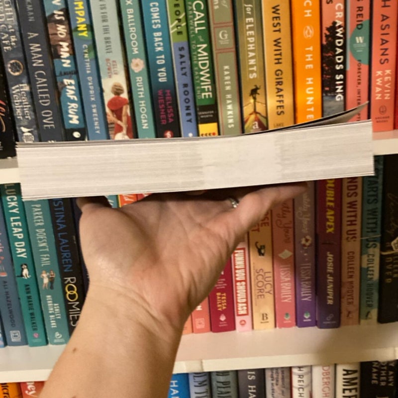 The Wildflower: a Dark New Adult Bully Romance