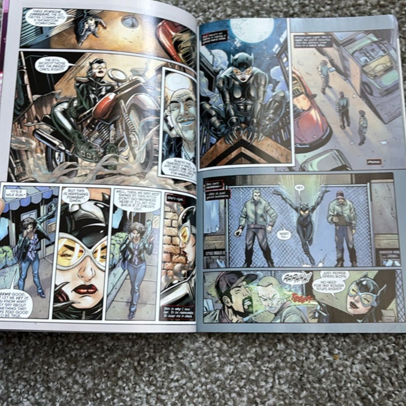 Catwoman Vol. 2: Dollhouse (the New 52)