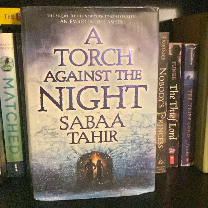 A Torch Against the Night