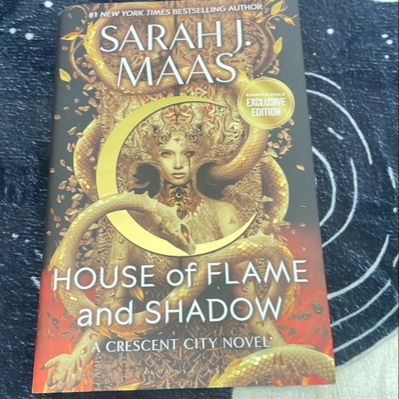 The House of Flame and Shadow 