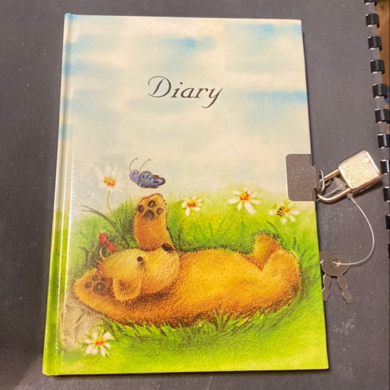Brand new Diary with lock and keys