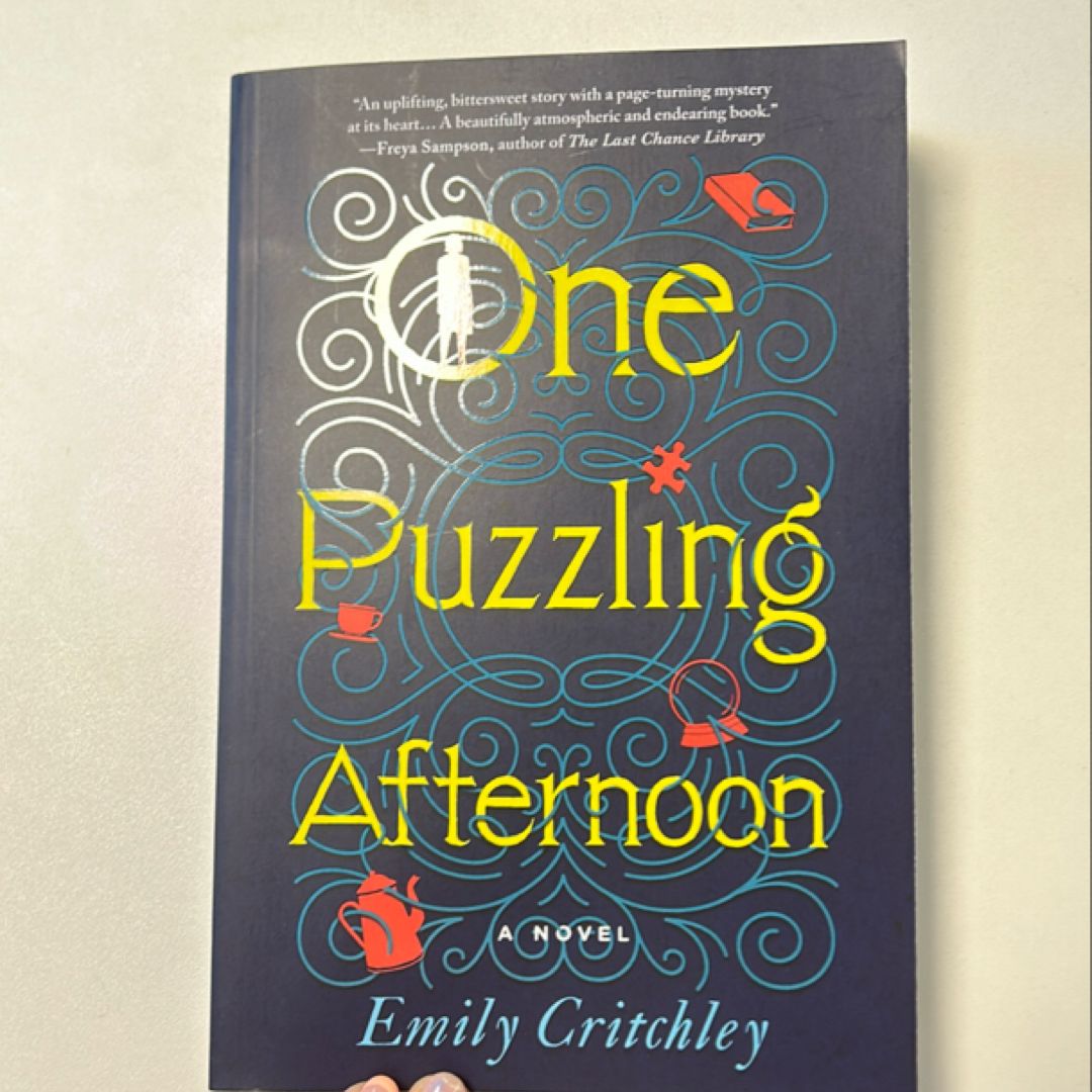 One Puzzling Afternoon